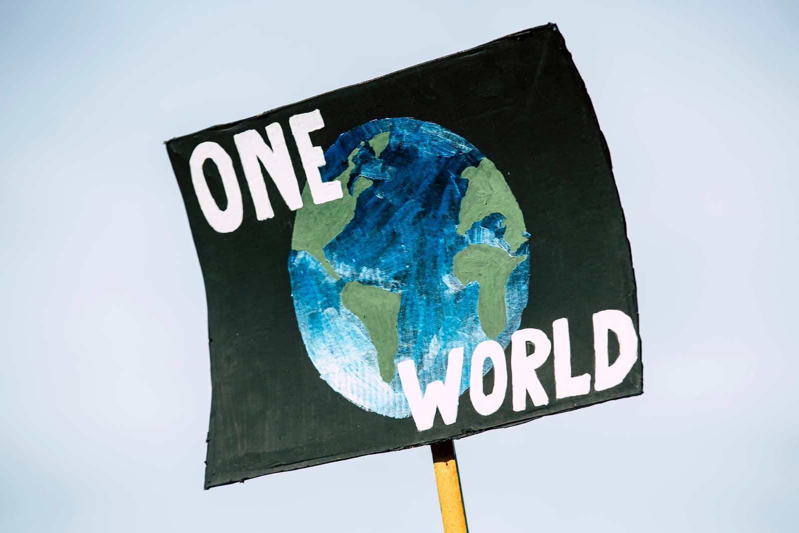 Journée mondiale de l'environnement : agissons ensemble pour la planète