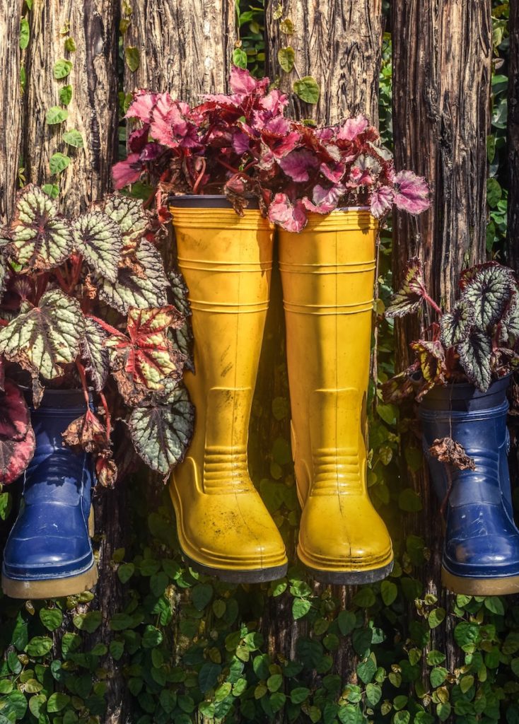 Une paire de bottes de pluie jaunes avec des plantes.