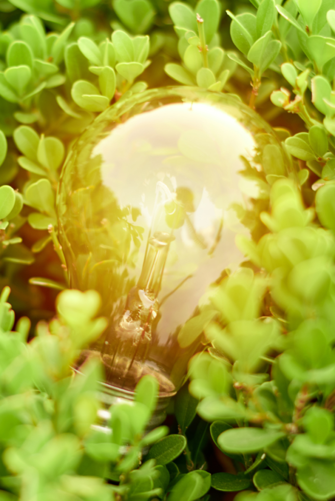 Une ampoule entourée de feuilles vertes, mettant l'accent sur les innovations écologiques.