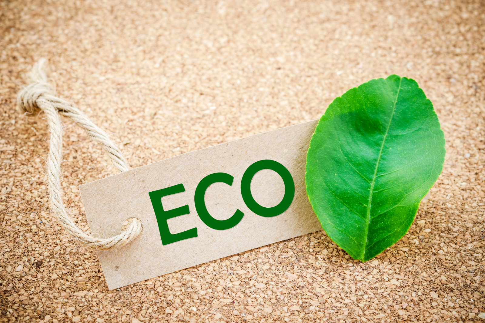 Les certifications écologiques pour les cartouches d’encre recyclées : un guide pour les consommateurs
