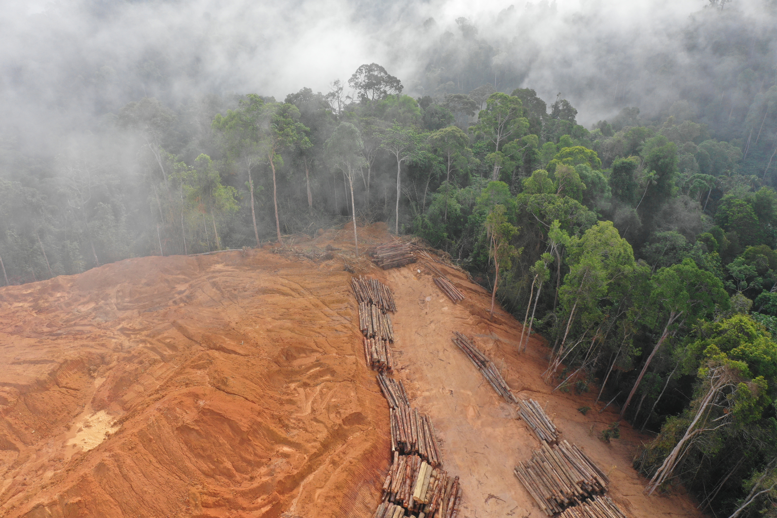 Une vue aérienne d’une forêt montrant l’impact dévastateur de la déforestation.